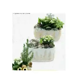 Hofer Weihnachtliches Arrangement HOFER Angebot