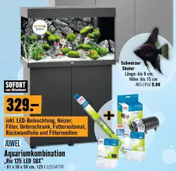 Hornbach Aquariumkombination Angebot