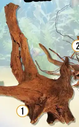 Hornbach Aquarium Wurzel Mangroven medium Angebot
