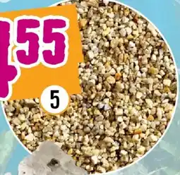 Hornbach Aquarienkies 2-4 mm 5 kg beige Angebot