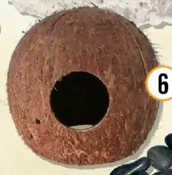 Hornbach Aquariumdekoration Kokoshöhle Angebot