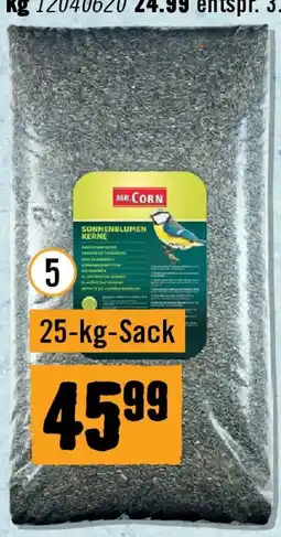 Hornbach Sonnenblumenkerne Angebot