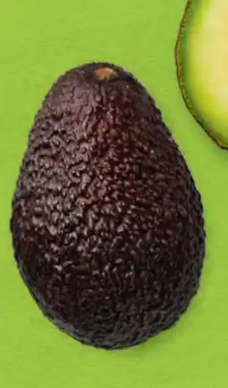 Hofer Hofer Marktplatz Iss Reif! Avocados Angebot