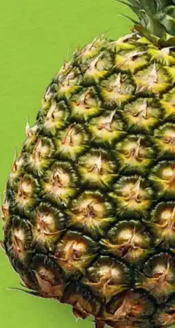 Hofer Hofer Marktplatz Ananas Angebot