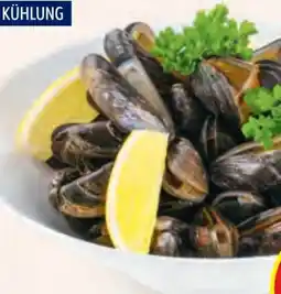 Hofer Almare Miesmuscheln Angebot
