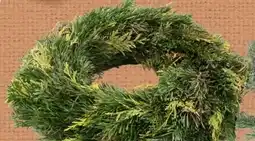 Spar Adventkranz Undekoriert Angebot