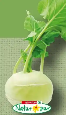 Spar Spar Natur pur Bio-Kohlrabi Angebot