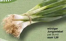 Spar Jungzwiebel Angebot