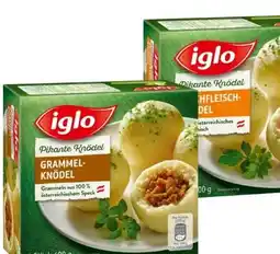 Eurospar Iglo Hausmannskost-Knödel Angebot