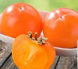 Eurospar Spar Premium Kaki Angebot