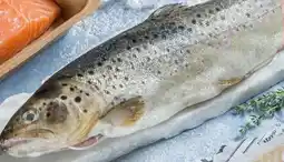 Interspar Spar Natur pur Bio-Bachforelle Angebot