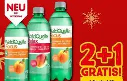 Interspar Waldquelle Vitamin Focus Angebot