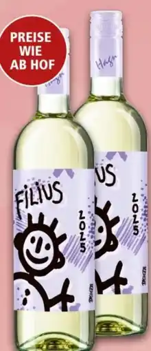 Interspar Weingut Hagn Grüner Veltliner Filius Angebot