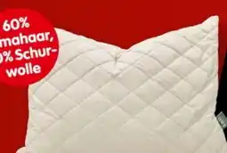 Interspar Fan Frankenstolz Polster Lama Angebot