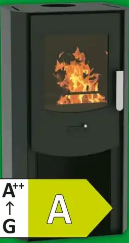 Hagebau Wamsler Kaminofen Sam Angebot