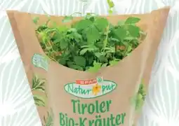 SPAR Gourmet Spar Natur pur Bio-Liebstöckel Topf Angebot