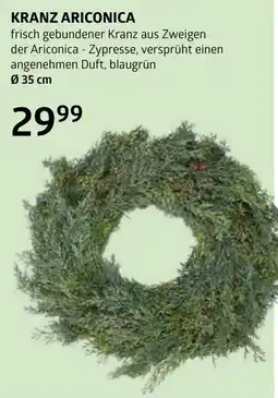 Bellaflora Kranz ariconica Angebot