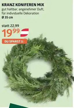 Bellaflora Kranz koniferen mix Angebot