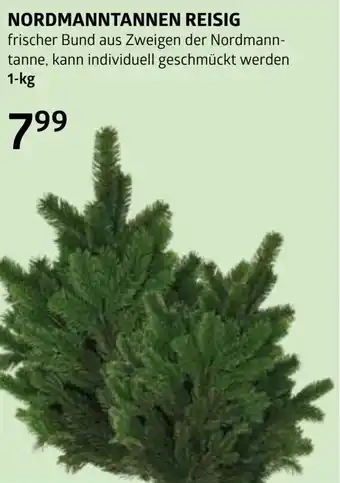 Bellaflora Nordmanntannen reisig Angebot