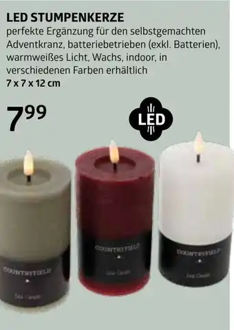 Bellaflora Led stumpenkerze Angebot