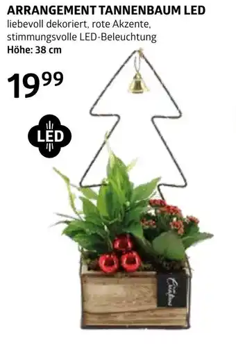 Bellaflora Arrangement tannenbaum led Angebot