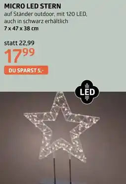 Bellaflora Micro led stern Angebot