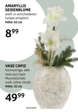Bellaflora Amaryllis seidenblume Angebot