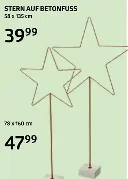 Bellaflora Stern auf betonfuss Angebot