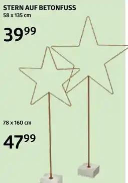 Bellaflora Stern auf betonfuss Angebot