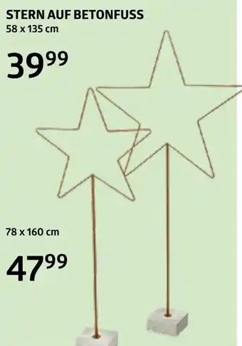 Bellaflora Stern auf betonfuss Angebot