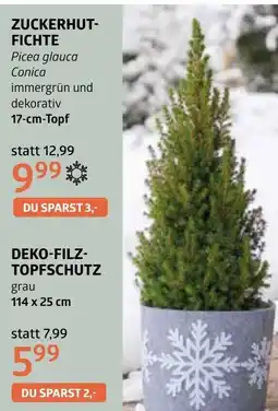 Bellaflora Deko-filz- topfschutz Angebot