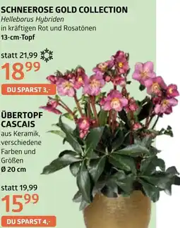 Bellaflora Übertopf cascais Angebot