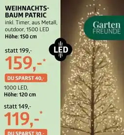 Bellaflora Weihnachts- baum patric Angebot