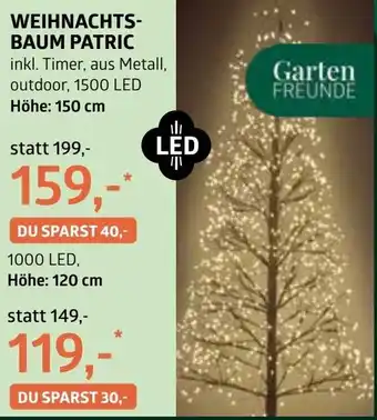 Bellaflora Weihnachts- baum patric Angebot