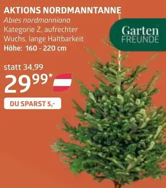 Bellaflora Aktions nordmanntanne Angebot