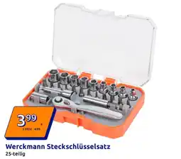 Action Werckmann Steckschlüsselsatz Angebot