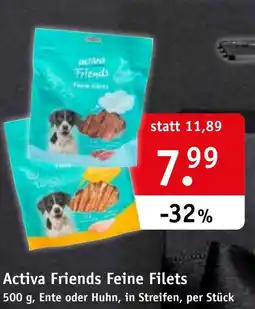 Eurogast Grissemann Activa Friends Feine Filets Angebot
