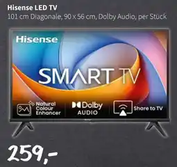 Eurogast Grissemann Hisense LED TV Angebot