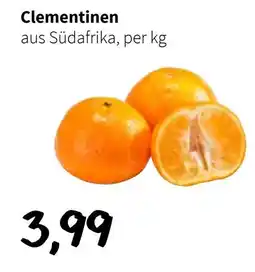 Eurogast Grissemann Clementinen Angebot