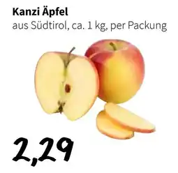 Eurogast Grissemann Kanzi Äpfel Angebot