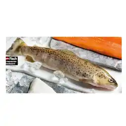 Interspar Bio-Bachforelle INTERSPAR Angebot