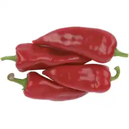 PENNY Spitzpaprika Rot Penny Angebot