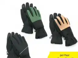 Hofer Adventuridge Damen Winterhandschuhe Angebot