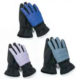 Hofer Crane Damen Skihandschuhe Angebot