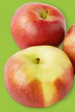 Hofer Hofer Marktplatz Äpfel Krumme Dinger Angebot