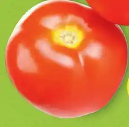 Hofer Hofer Marktplatz BIO-Tomaten Angebot