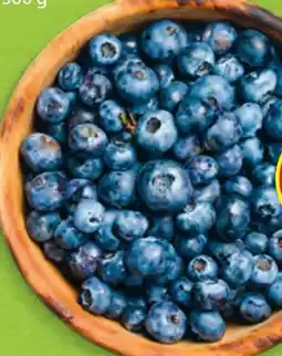 Hofer Hofer Marktplatz Heidelbeeren Angebot