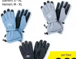 Hofer Crane Premium Damen Skihandschuhe Angebot