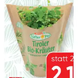 SPAR Gourmet Bio-Liebstöckel Topf SPAR Gourmet Angebot