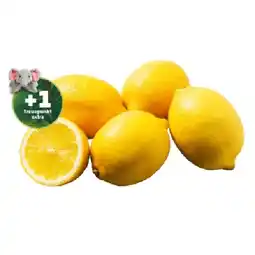 PENNY Marktliebe Zitronen Penny Angebot